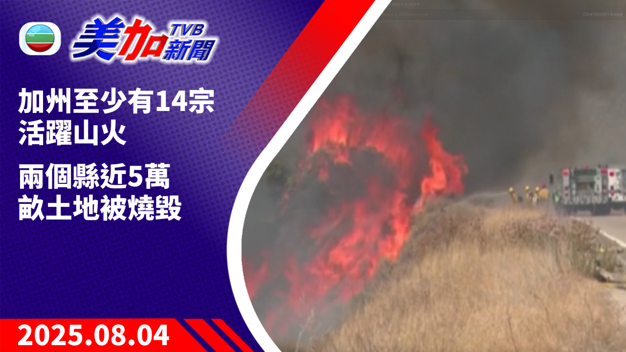 TVB 美加新聞｜加州至少有 14 宗活躍山火   兩個縣近 5 萬畝土地被燒毀｜美國新聞｜2025 年 8 月 4