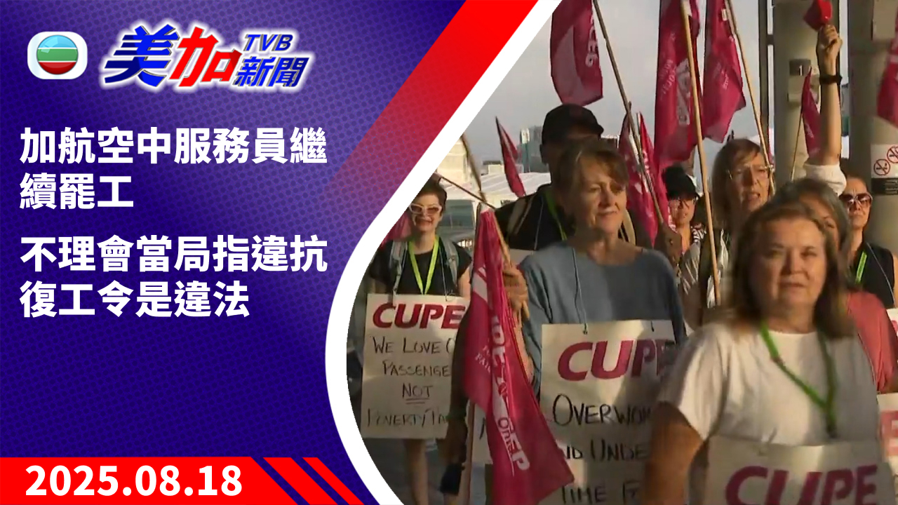 TVB 美加新聞｜加航空中服務員繼續罷工 不理會當局指違抗復工令是違法｜加拿大新聞｜2025 年 8 月 18 日