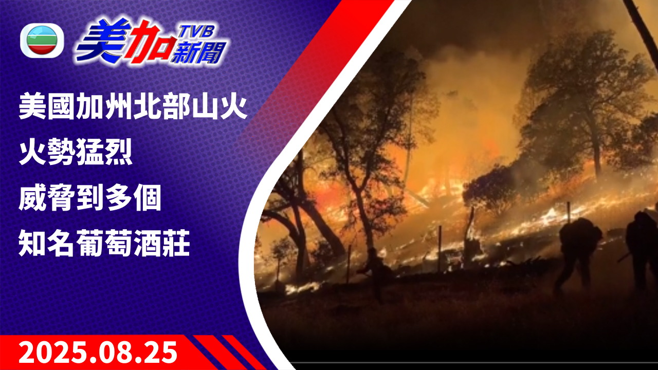TVB 美加新聞｜美國加州北部山火火勢猛烈 威脅到多個知名葡萄酒莊｜美國新聞｜2025 年 8 月 25 日