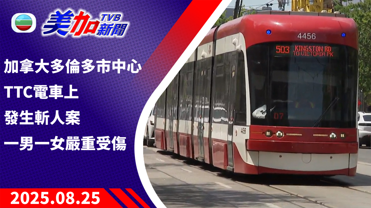 TVB 美加新聞｜加拿大多倫多市中心 TTC 電車上 發生斬人案 一男一女嚴重受傷｜加拿大新聞｜2025 年 8 月 25 日